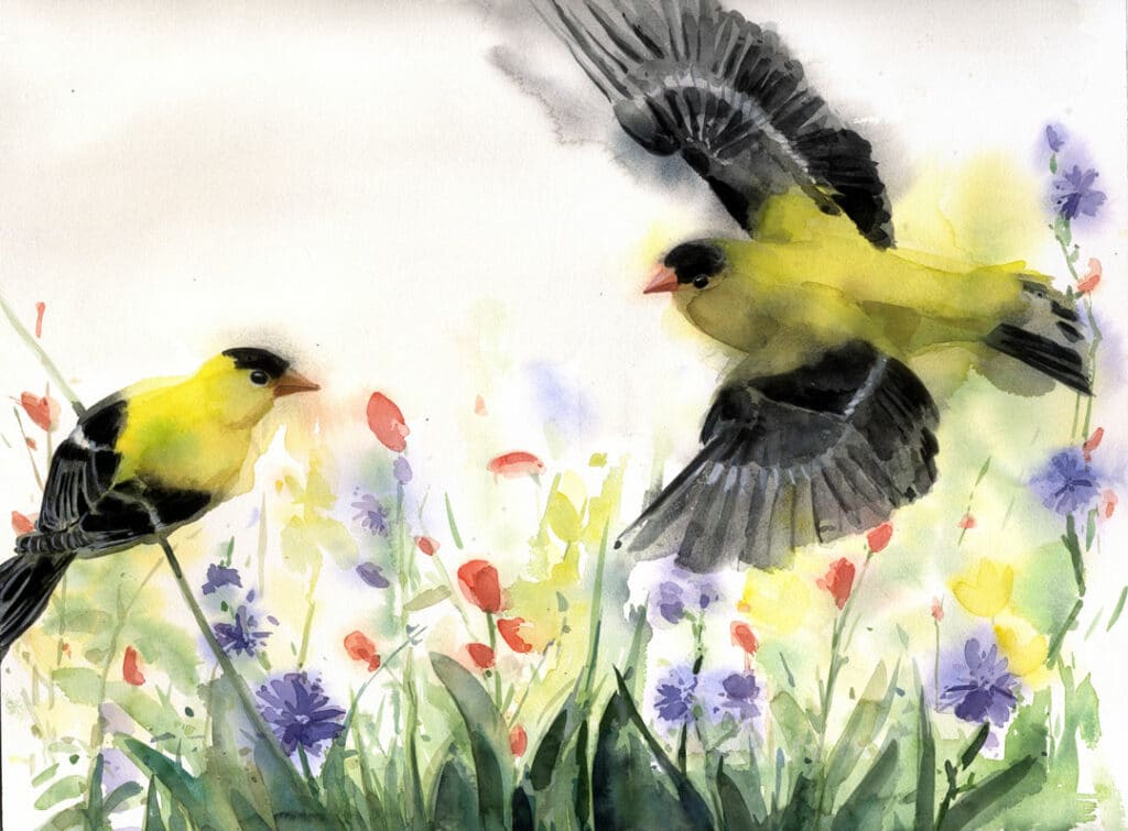 Two yellow and black goldfinches painted by Holly Wach. All photos courtesy of the artists