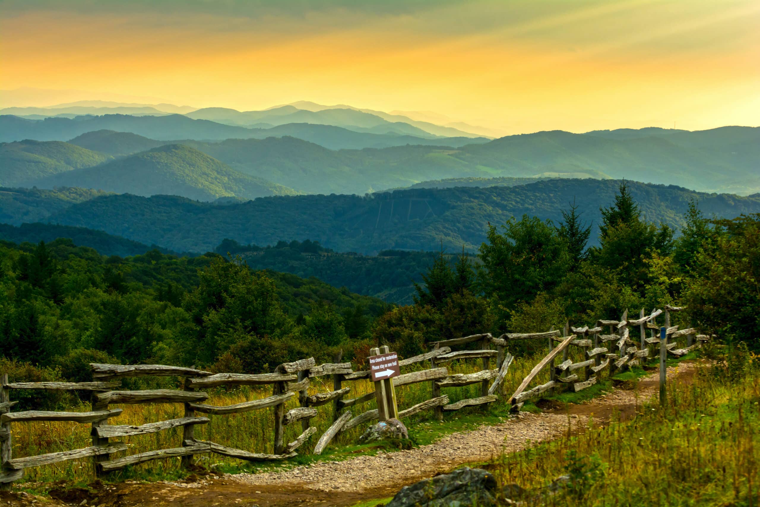 An Insider’s Guide to Mount Rogers and Whitetop Mountain