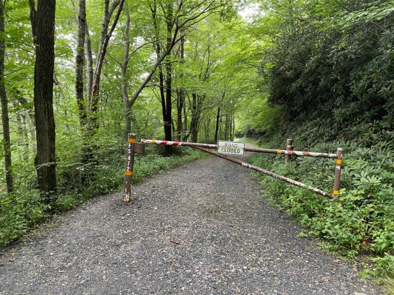 View of a road closed gate blocking the path of a long gravel road that cuts through a lush green forest.