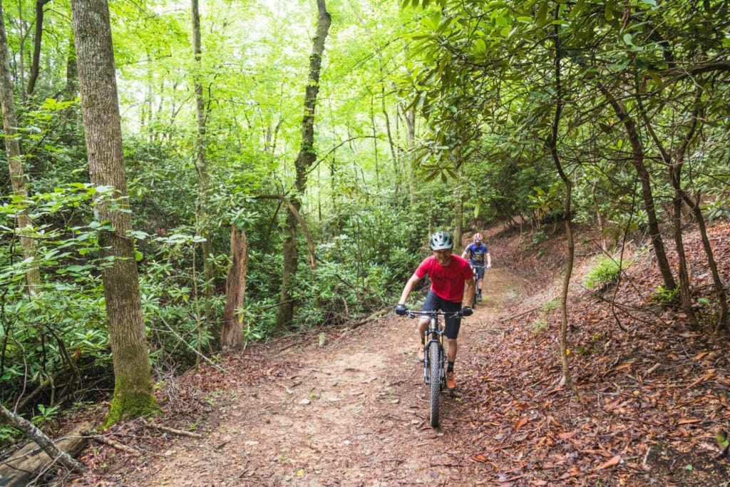 two people mountain bike on a dirt trail in a green lush forest