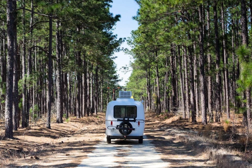 View of camper from behind as it drives down a dirt road lined with tall pine trees.