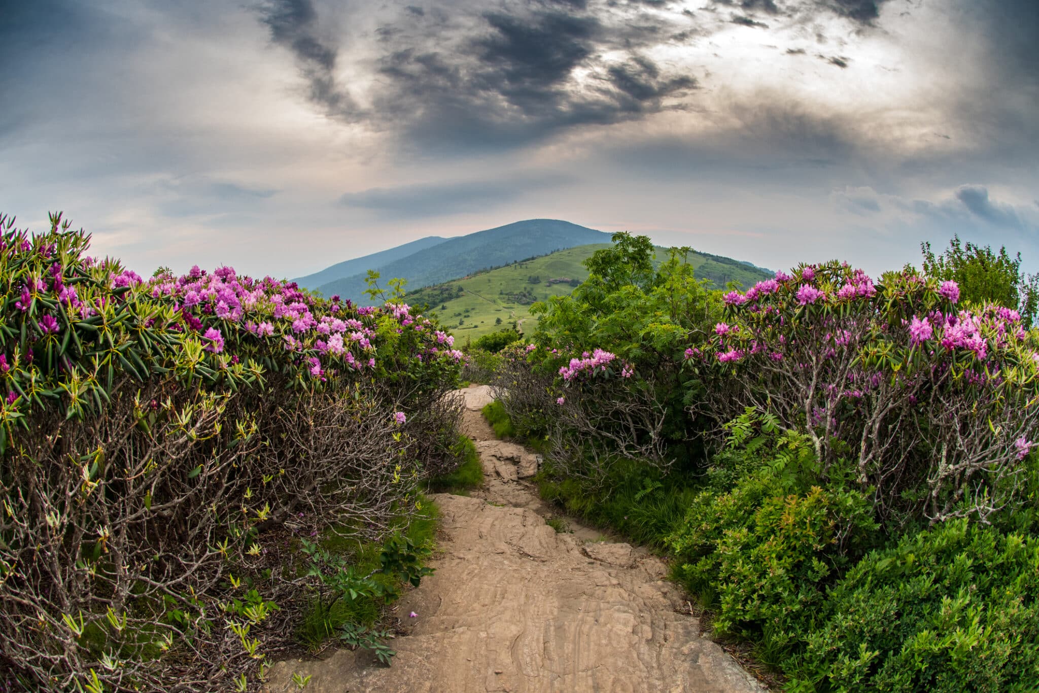 North Carolina Appalachian Trail - GettyImages 546442954 2048x1365 